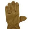 pure-leather-gloves-1-100x100
