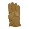 pure-leather-gloves-2-100×100
