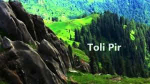TOLI PIR TOLI PIR