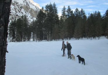 Naltar-Valley-Enjoyment